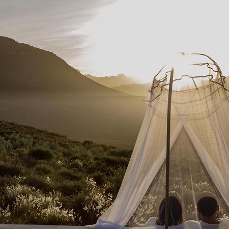 Willa Simbavati Cederberg Ridge Clanwilliam Zewnętrze zdjęcie