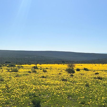 Willa Simbavati Cederberg Ridge Clanwilliam Zewnętrze zdjęcie