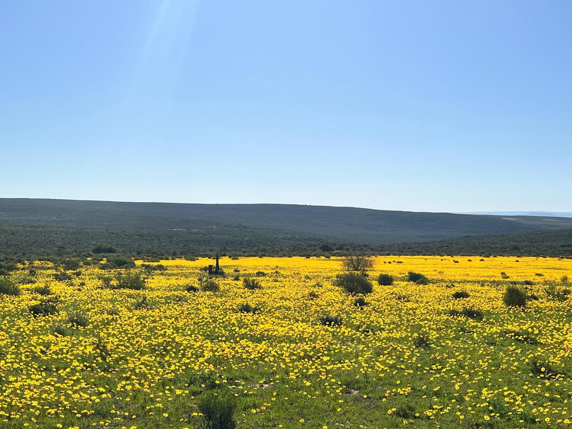 Willa Simbavati Cederberg Ridge Clanwilliam Zewnętrze zdjęcie