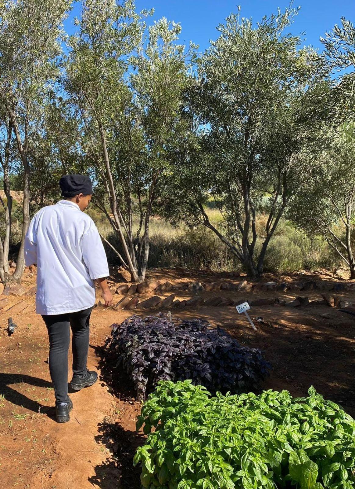 Willa Simbavati Cederberg Ridge Clanwilliam Zewnętrze zdjęcie