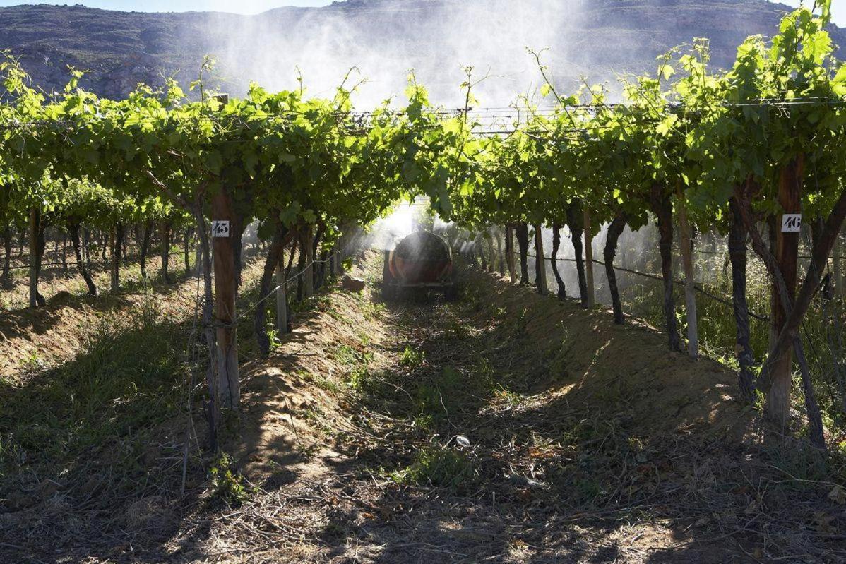 Willa Simbavati Cederberg Ridge Clanwilliam Zewnętrze zdjęcie