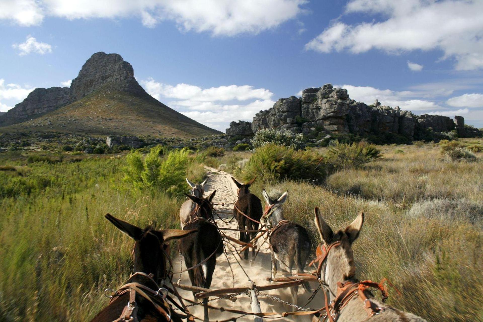 Willa Simbavati Cederberg Ridge Clanwilliam Zewnętrze zdjęcie