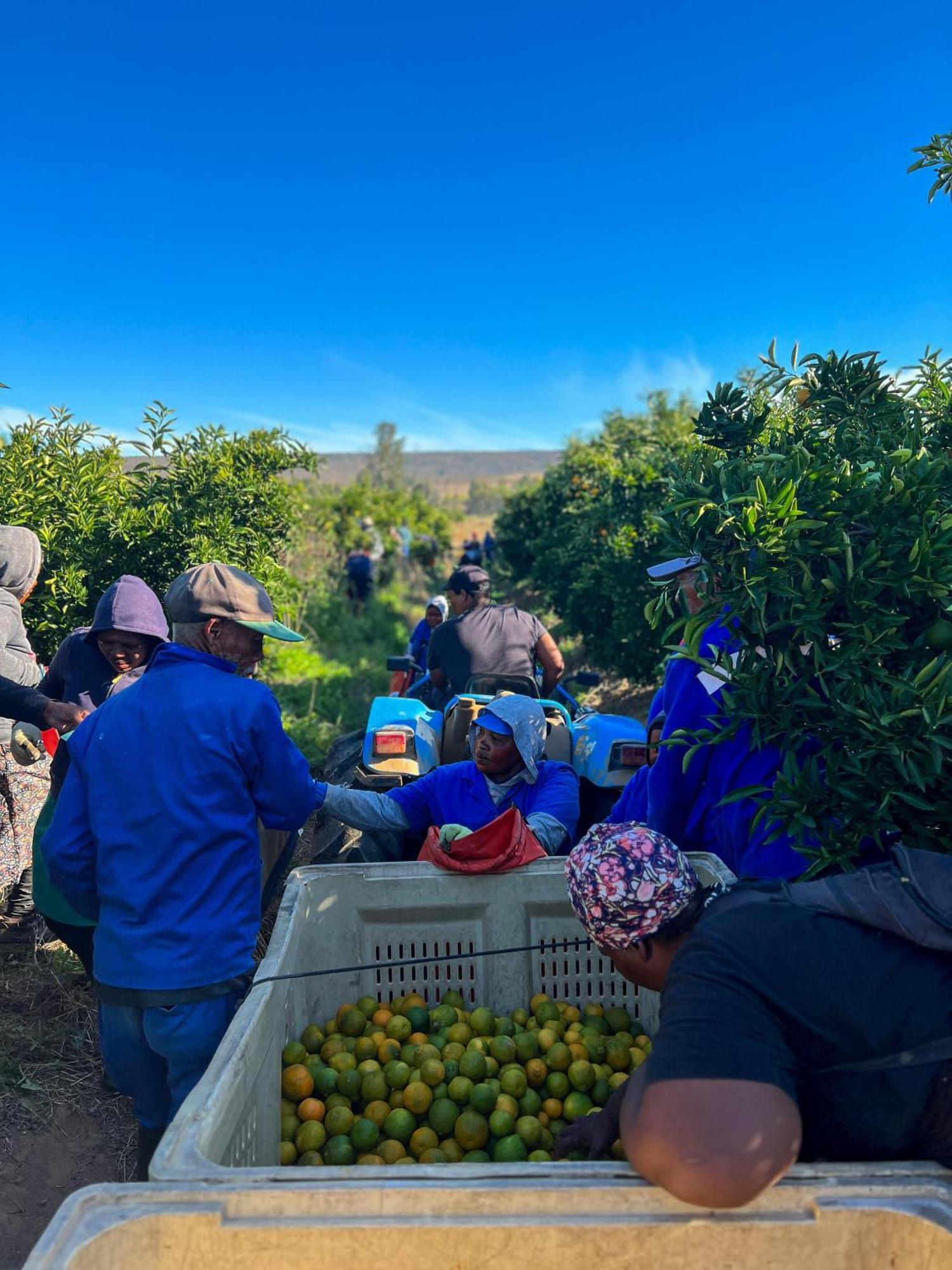Willa Simbavati Cederberg Ridge Clanwilliam Zewnętrze zdjęcie